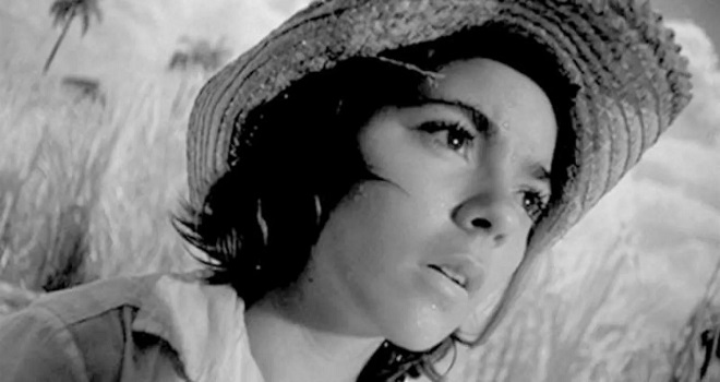 عدنان حسين احمد: أنا كوبا.. شاعرية الواقع وبوادر الثورة المُرتقبة