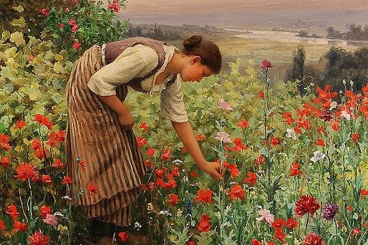 احمد عابر: قاطفة الورد.. انحناءة العشق وانتظار الحبيب