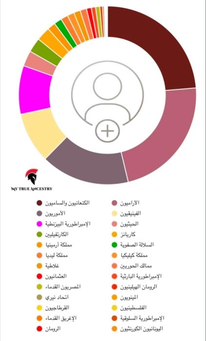 2782 tawfiq