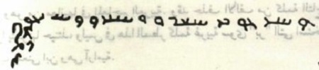3050 nazar