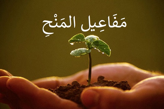ليلى تبّاني: مَفَاعِيلُ المَنْحِ.. رسالتي للأساتذة